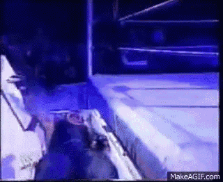 Undertaker. ya sé, no tiene nada que ver, pero necesitaba otro gif de la WWE